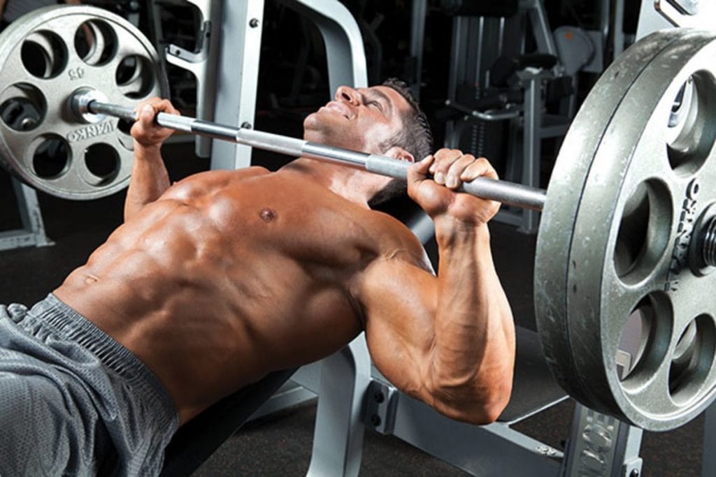 8 Best Bench Press Machine - Exercises, Prices & Comparison - MGM.