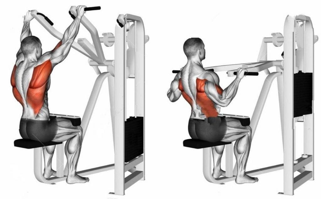 Beginners Guide to Lat Pull-Down Machine